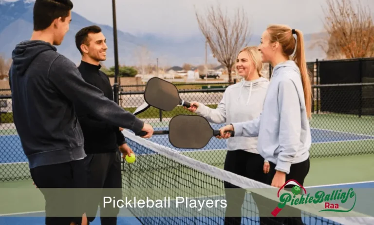 Pickleball Player | Swing to Success | The 2024 Journey of a Pickleball Player